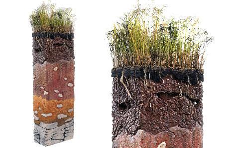 the Structure of the soil profile