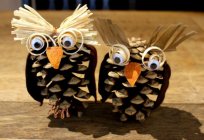 Owl from the cones. Crafts for kids