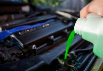 What antifreeze is the best and how to choose it?