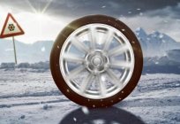 汽车轮胎韩国W616所有者评价、规格和特征