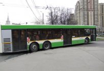 如何许多公共汽车在莫斯科：安排地面运输