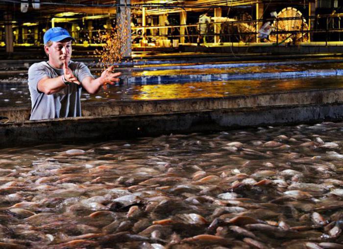 Russian aquaculture