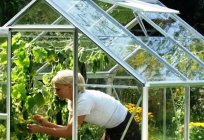 De vidrio de los invernaderos - para aquellos que valoran la calidad de la