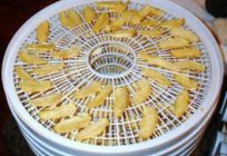 How to dry apples in a electric dryer? At what temperature dried apples