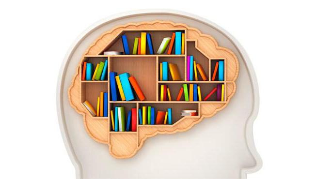 the study of memory in psychology