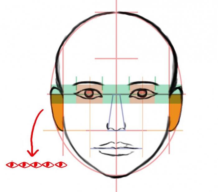 como desenhar o rosto de uma pessoa