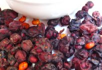 Schisandra chinensis: the therapeutic properties and contraindications