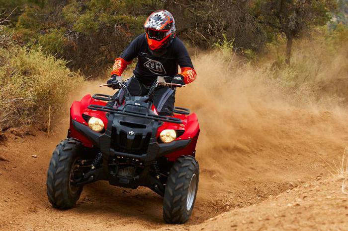 ATV grizzly