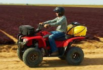 ATV Grizzly (Yamaha Grizzly): models, features and reviews