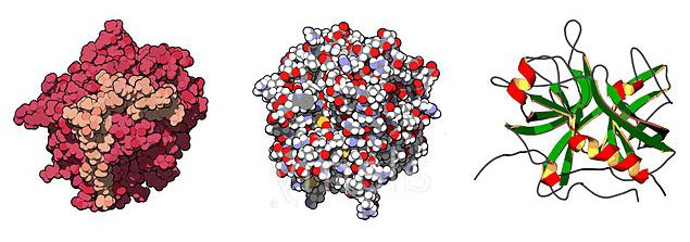 the enzyme causing blood clotting
