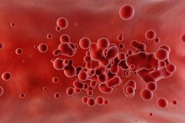 ما هو الإنزيم تخثر الدم