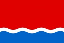 Divisão administrativa, a bandeira e o brasão de armas da região de Amur