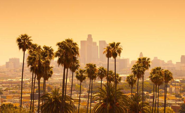 洛杉矶：人口。