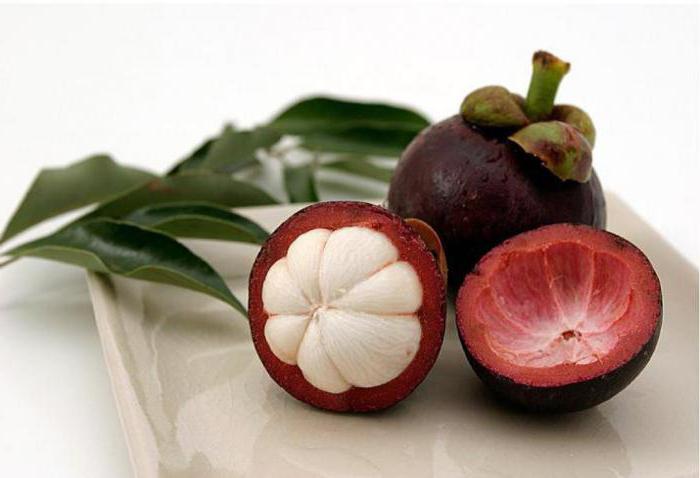 мангустин fruta propriedades úteis