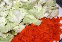 Pişirmek için nasıl faydalı vitamin lahana salatası ve havuç sirke ile