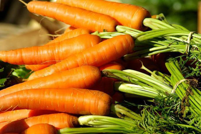 la zanahoria es la fruta o la verdura