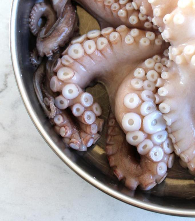 wie zu Kochen Oktopus