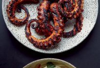Octopus: recipes and especially cooking