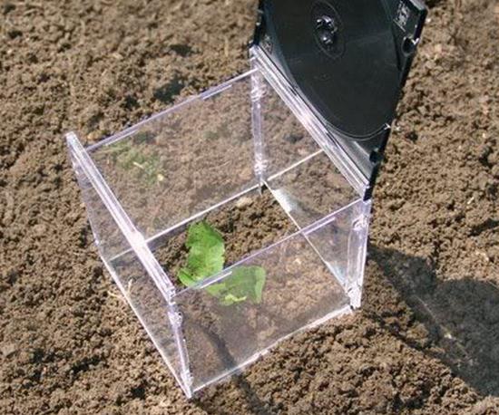 mini greenhouses with their hands