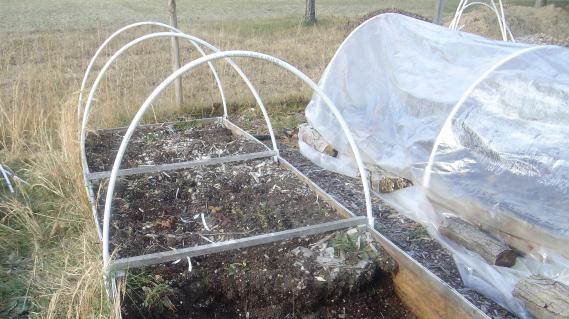 Greenhouse with his own hands out of PVC pipes and the alternative
