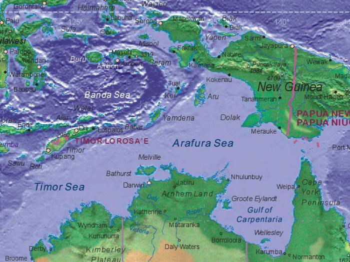 Арафурское ve Тиморское deniz