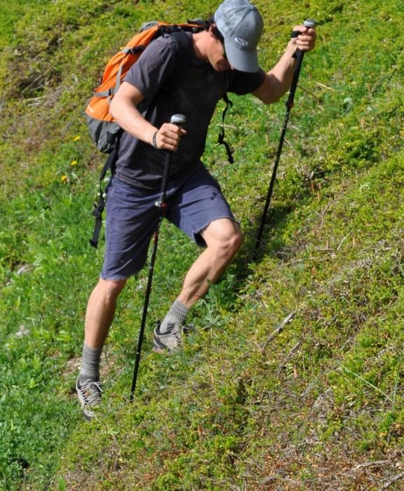 how to choose trekking poles