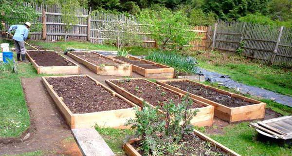 fences for raised beds why where and how