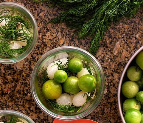 green stuffed tomatoes for the winter