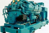 How to choose the generator to give gasoline, diesel?