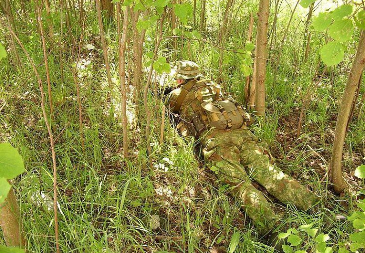camouflage birch PV KGB