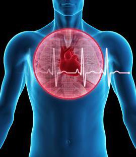 чреспищеводная ecocardiograma del corazón
