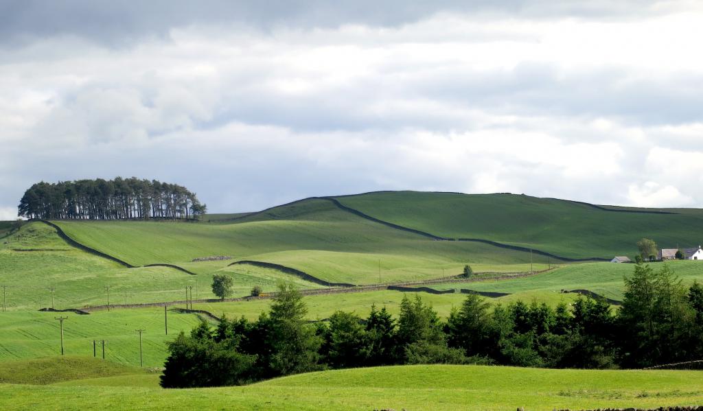 the Plains of Scotland