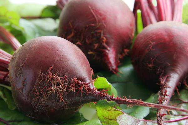 can the beets in pregnancy