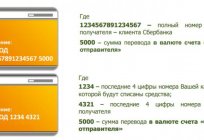 How to add funds to the card of Sberbank: step by step instructions