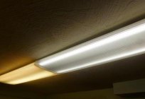 Fluorescent lamps: the harm to health and the environment