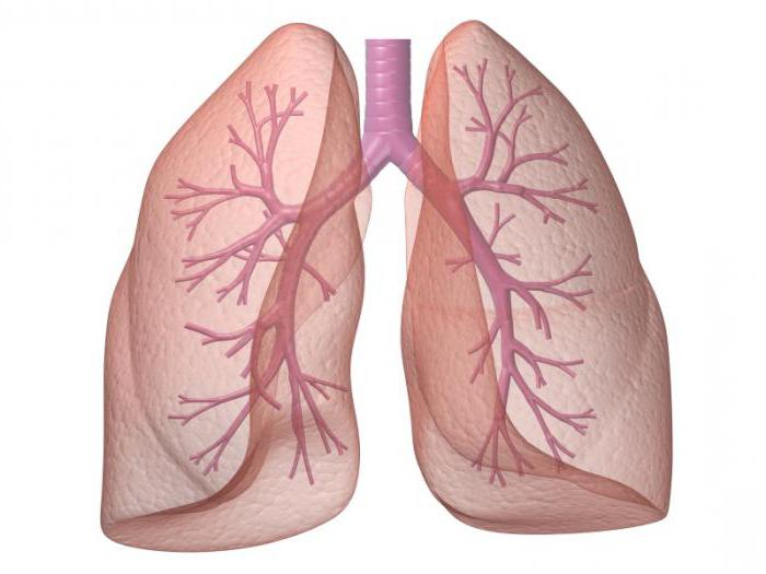 infecciones respiratorias agudas sin катаральных fenómenos