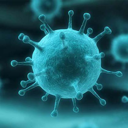 Grippe ohne kataralnah Phänomene
