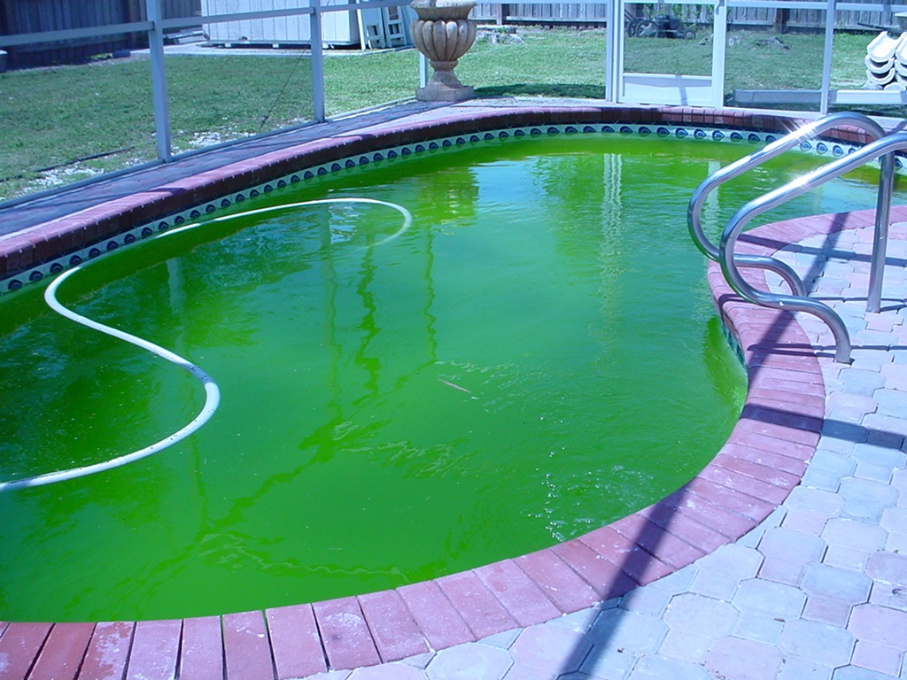 la limpieza del agua de la piscina con cloro
