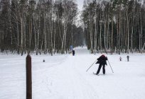 Interessant Баковский Waldpark für Urlauber?