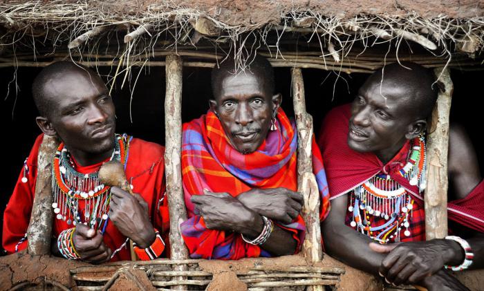 tribe Africa Maasai