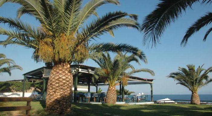 koralli beach hotel Peloponnese