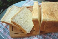 Bread maker Panasonic SD-255: description, instruction, recipes, reviews