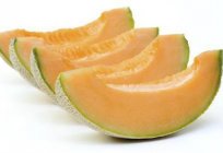 Whether the dog is a melon: tips veterinarians