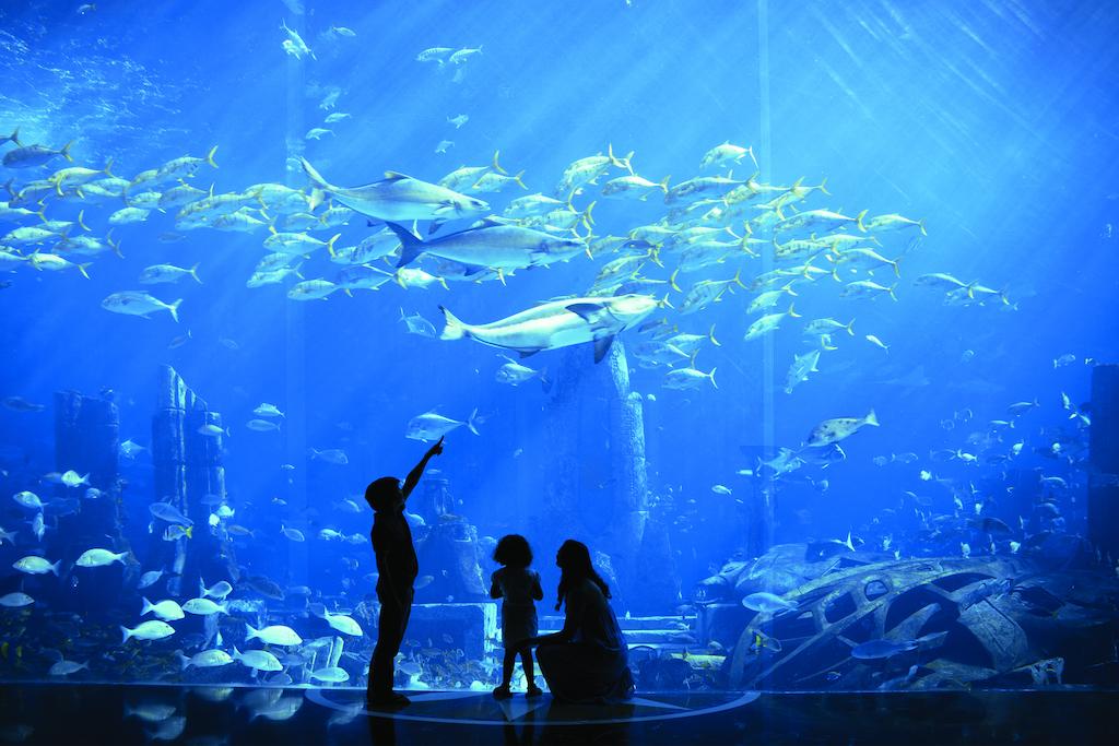 Aquarium im Hotel Atlantis Dubai