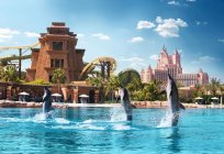 Hotel Atlantis, Dubai: Beschreibung und Bewertungen