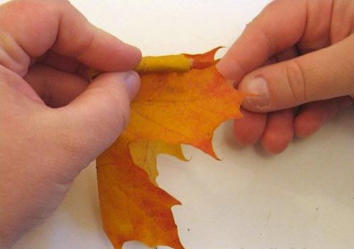 outono buquê de suas mãos