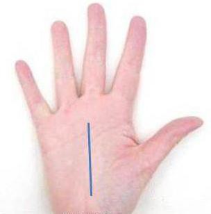 the line of Apollo on the hand