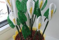 Calla lilies beaded: master class and recommendations