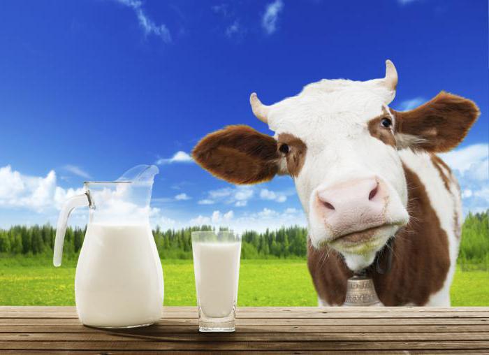 warum wird Milch bitter, wenn скисании