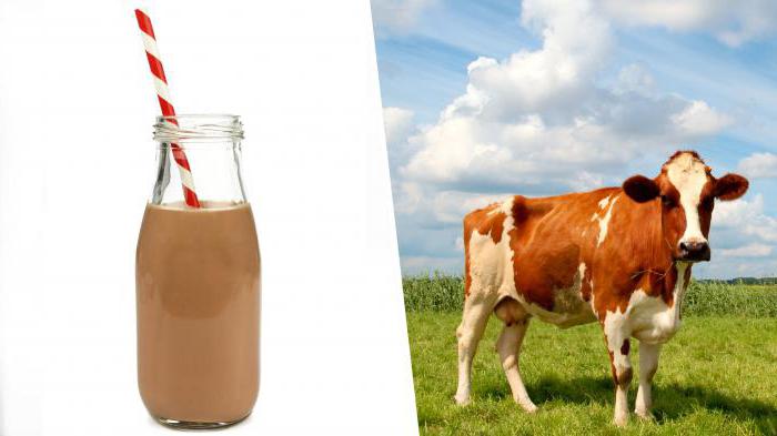¿por qué горчат la nata de la leche de vaca